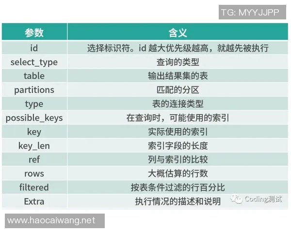 墨西哥与K格m对决全方位分析及比赛前瞻策略探讨