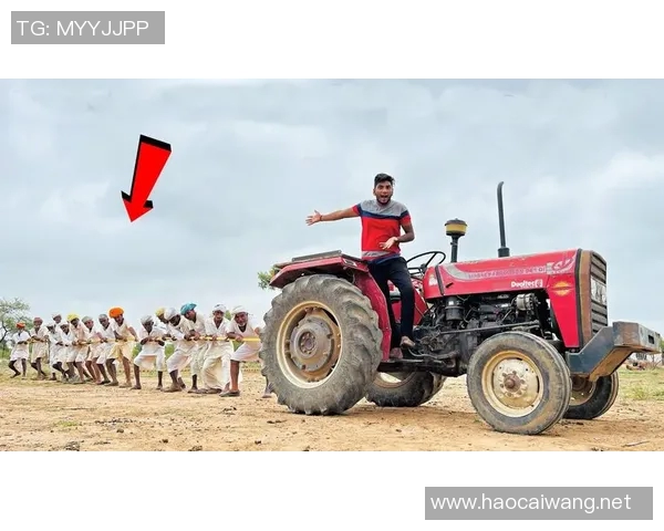 拖拉机与加拉法的较量:谁能在现代农业中胜出